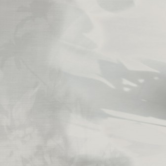 Tapet cu design minimalist, cu o floare delicată, ale cărei umbre se proiectează pe un fundal alb.