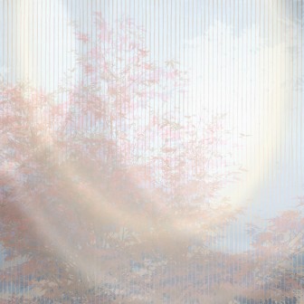 Fototapet cu design grafic albastru cu nuanțe de roz, inspirat din frumusețea naturii.