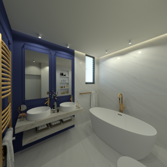 Proiect Casa Dobroesti